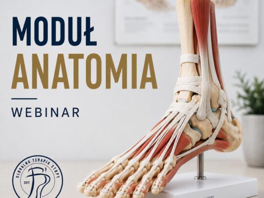 MODUŁ ANATOMIA